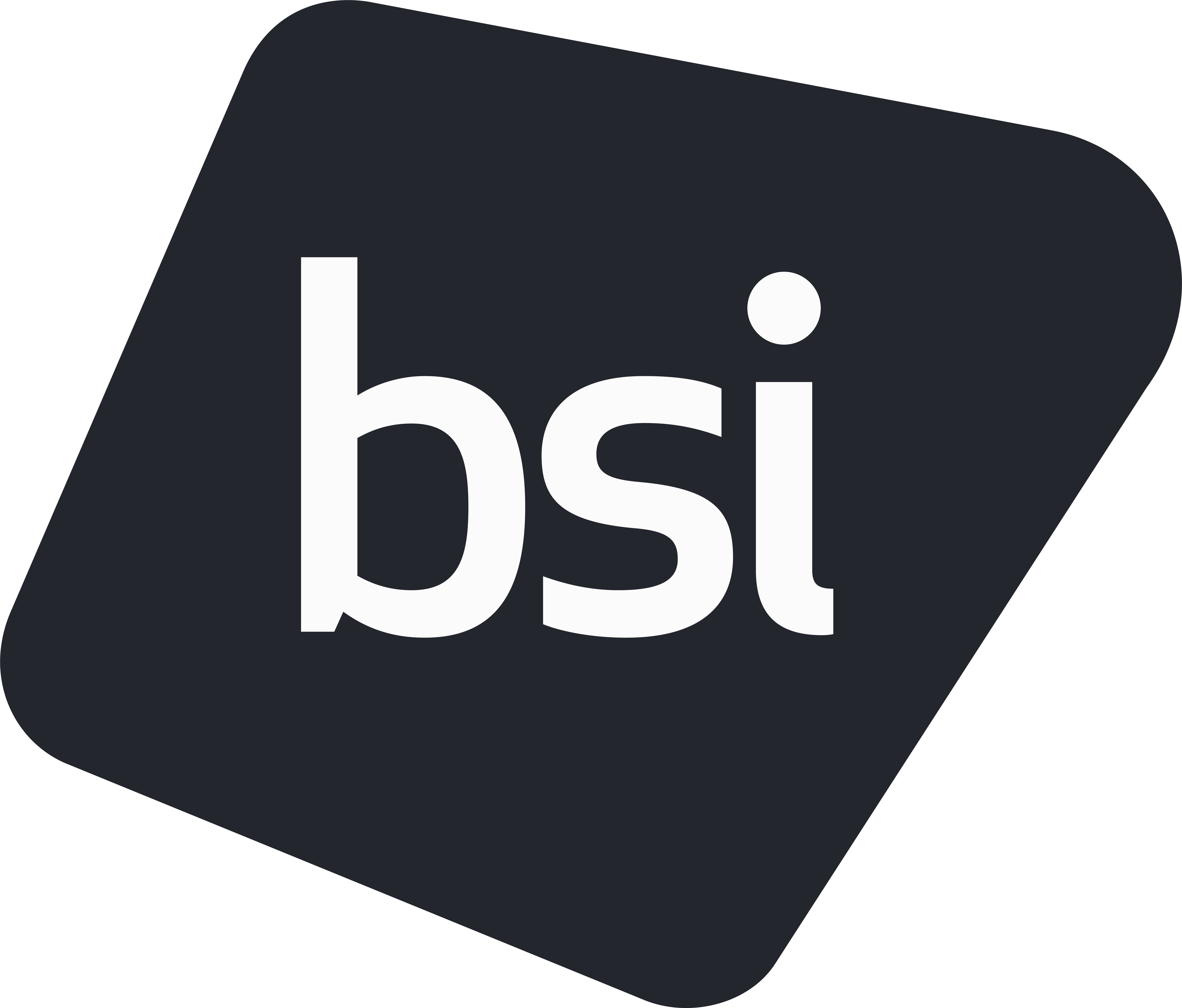 Bsi Logo Charcoal